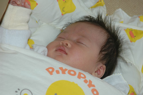 gal/1st Month/DSC_1618.jpg